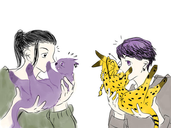 domi cats